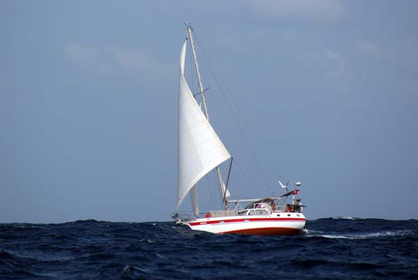 alua-259.jpg